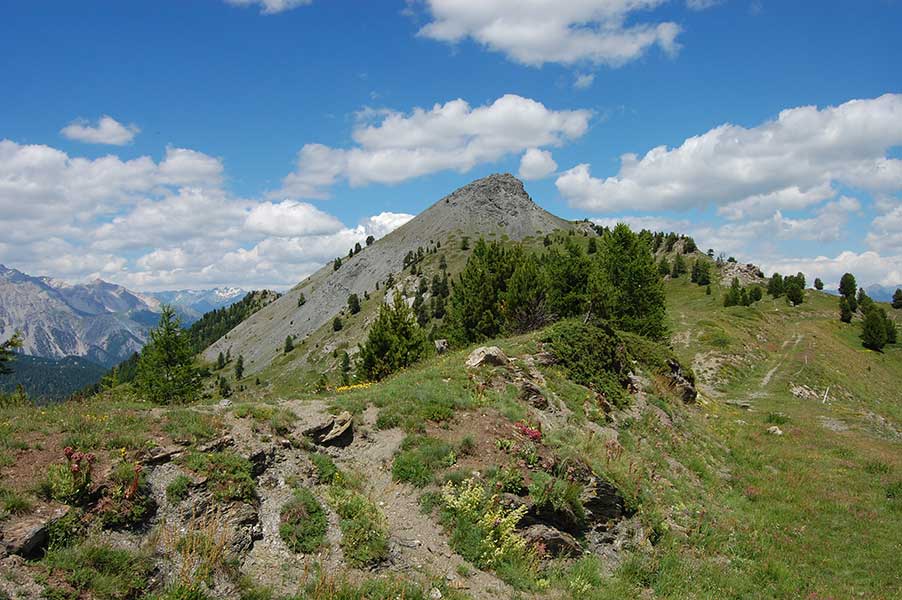 25 luglio 2013-Il monte Courbion visto dal Col Begino