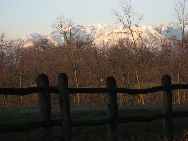 4 Dicembre 2013 Parco La Mandria-Le Alpi al tramonto