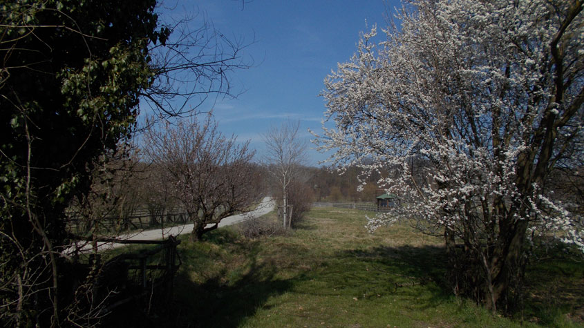 24 marzo 2016 Parco La Mandria-Scorcio