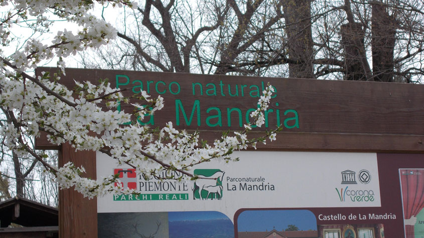 28 marzo 2016 Parco La Mandria-Pannello